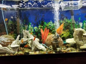 aquarium water filtration system