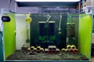 aquarium water filtration