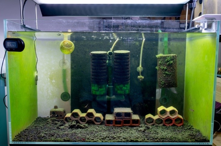 aquarium water filtration